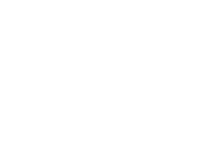Apache Skateboards logo